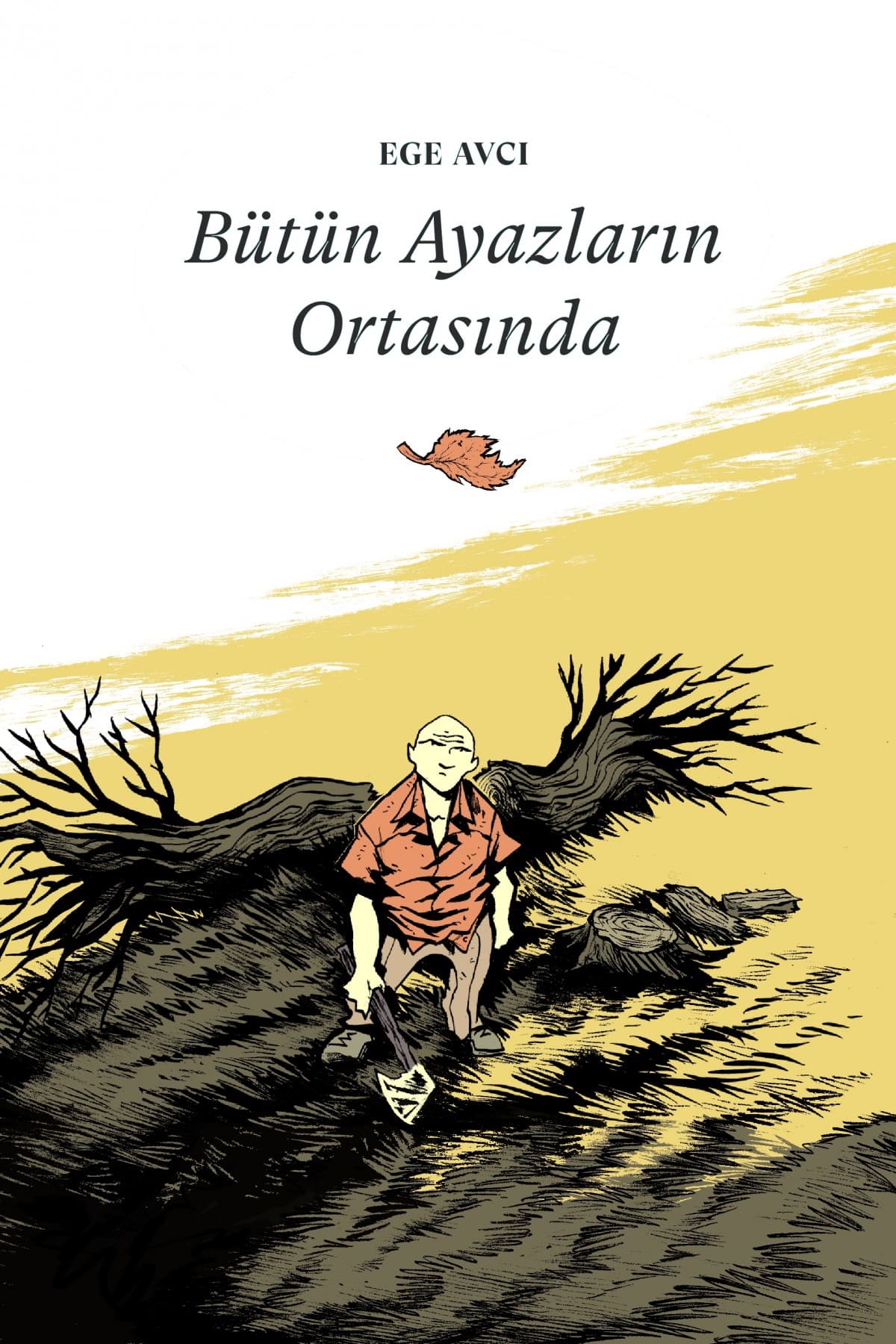 Bütün Ayazların Ortasında kitabının kapağı
